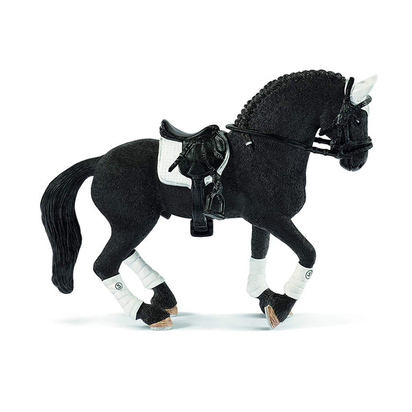 Frisian Stallion with Saddle and Tack