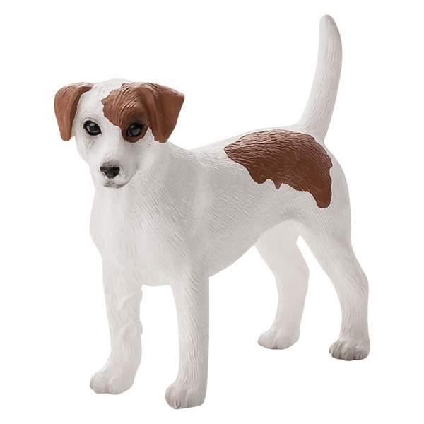 Animal Planet Jack Russell Terrier