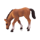 Animal Planet Arabian Foal Eating