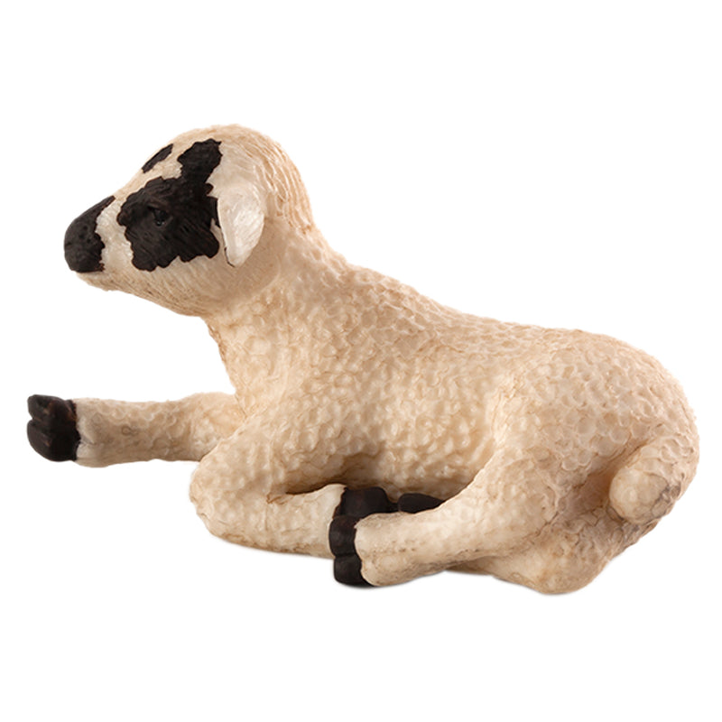 Black Faced Lamb Lying Down Animal Planet 387060