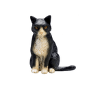 Black & White Cat Sitting Animal Planet 387371