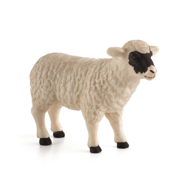 Black faced Sheep Ewe 387058