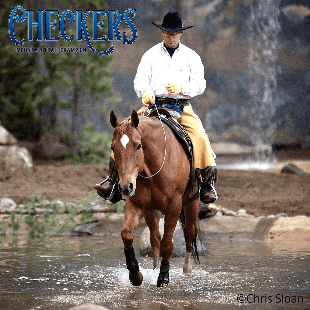 Breyer Checkers Traditional Horse 1831