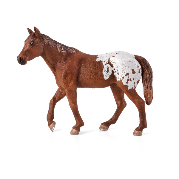 Chestnut Appaloosa Stallion Animal Planet 387150