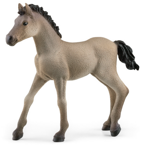 Criollo Definitivo Foal Schleich 13949