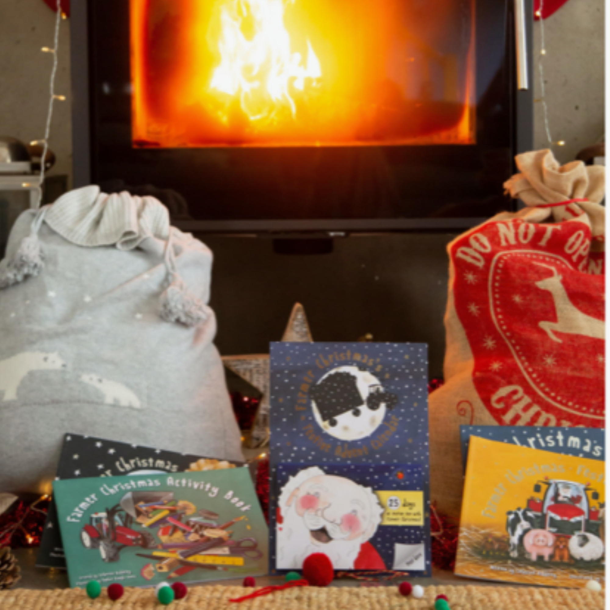 Farmer Christmas Activity Book