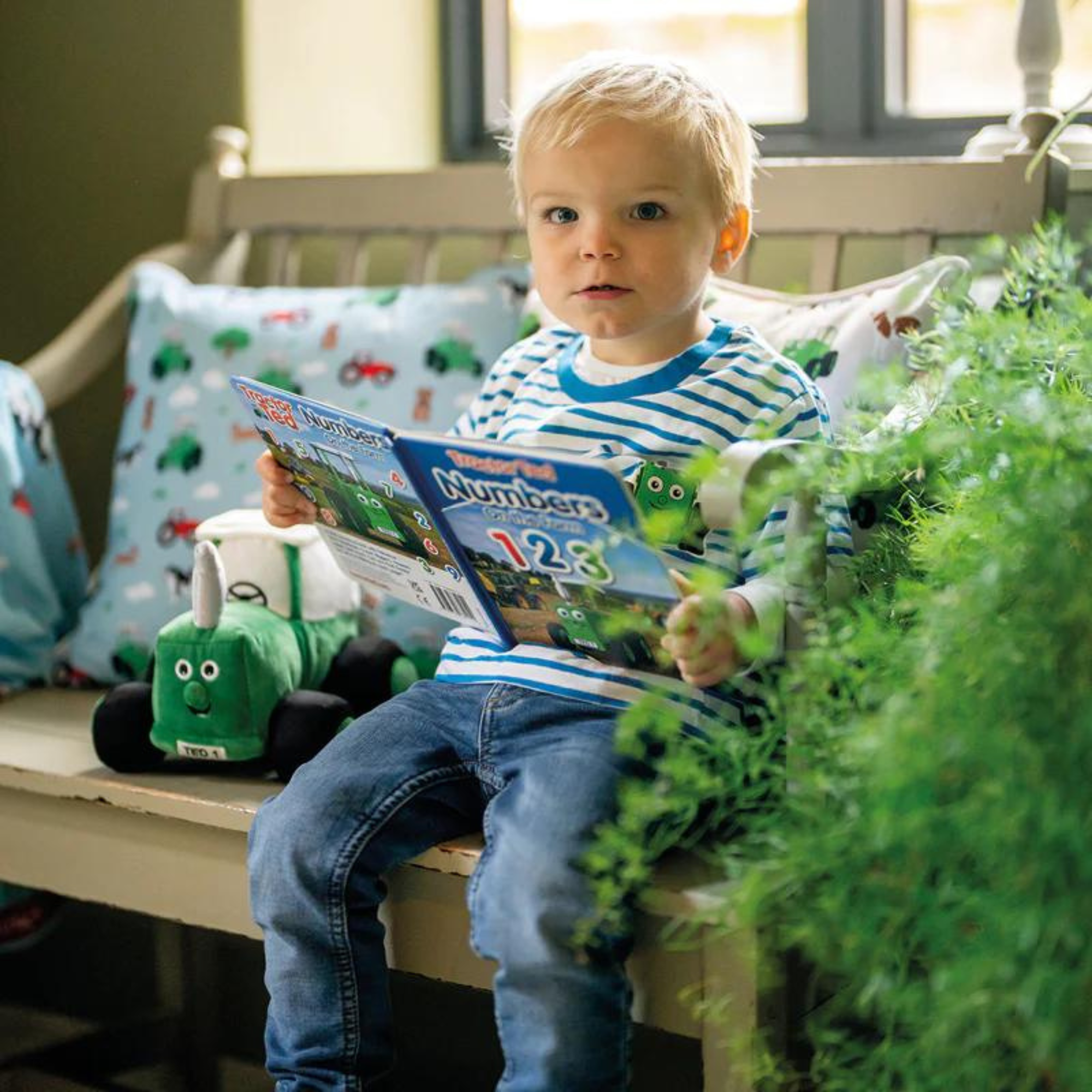 Tractor Ted First Numbers Board Book