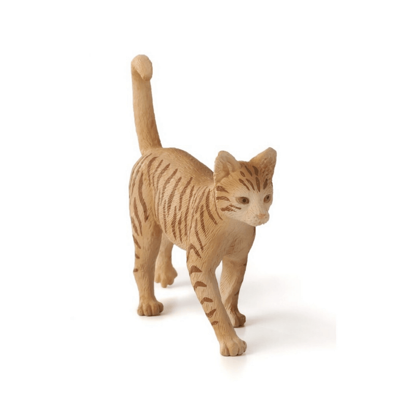 Mojo Ginger Tabby Cat