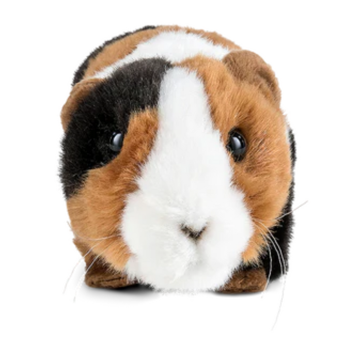 Guinea Pig Soft Toy Living Nature AN190