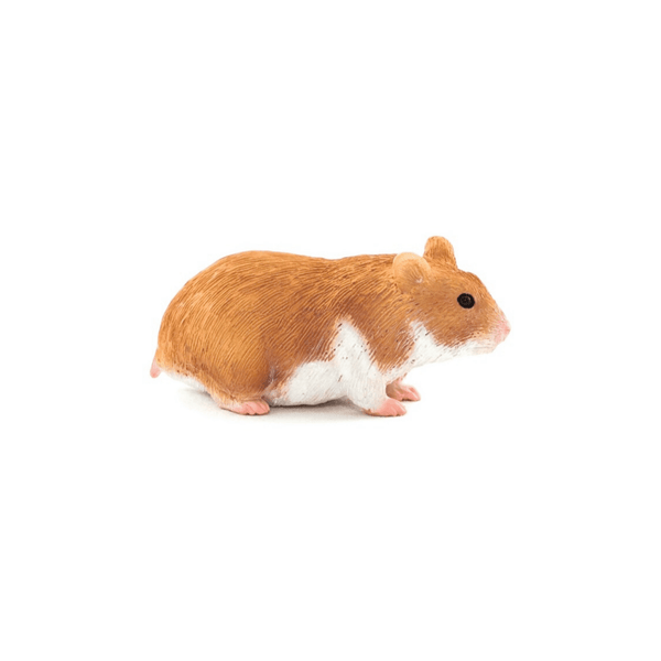 Hamster Animal Planet 387236