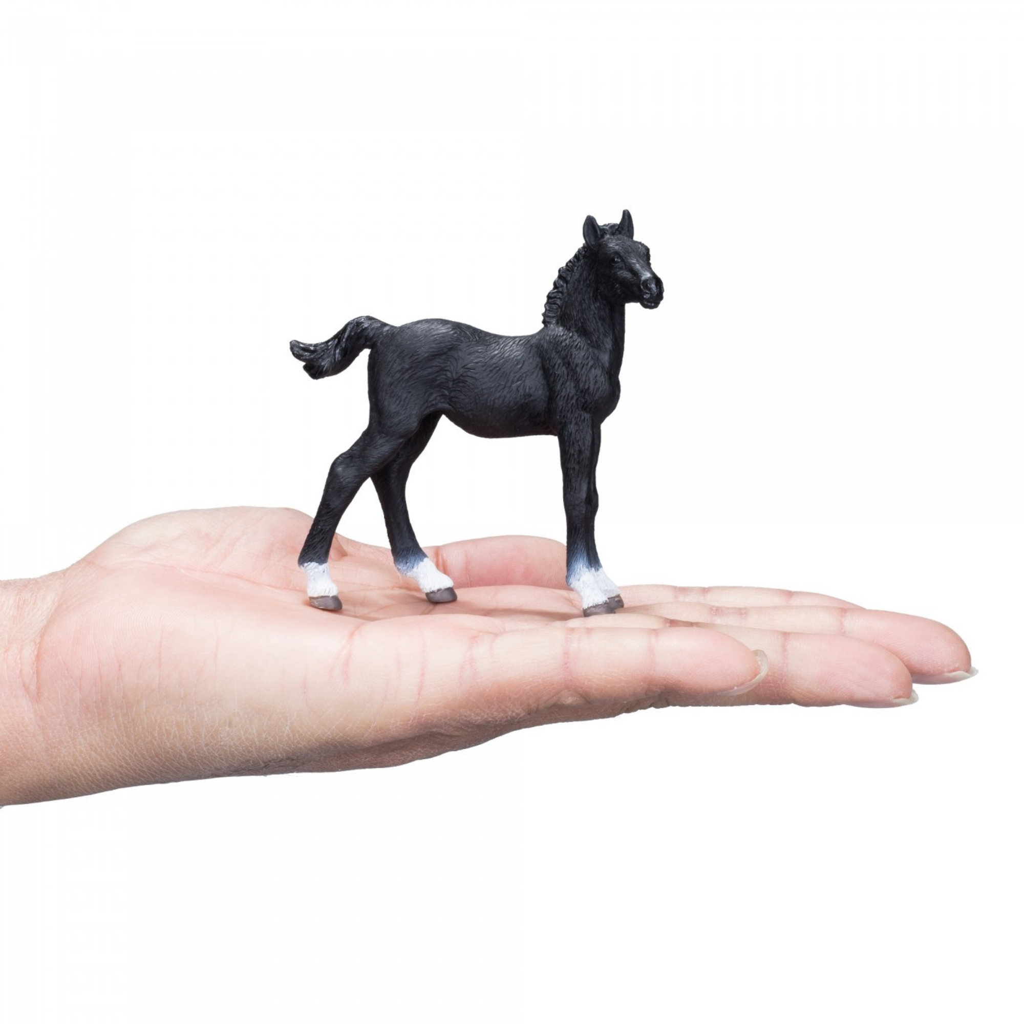 Mojo Animal Planet Black Hanoverian Foal 381000