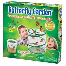 Butterfly Garden with 3-5 LIVE Caterpillars