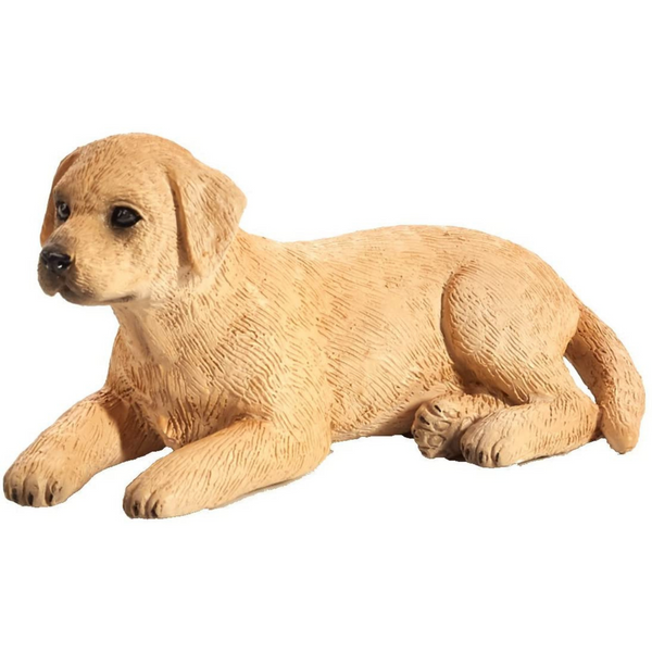 Mojo Labrador Puppy 387272