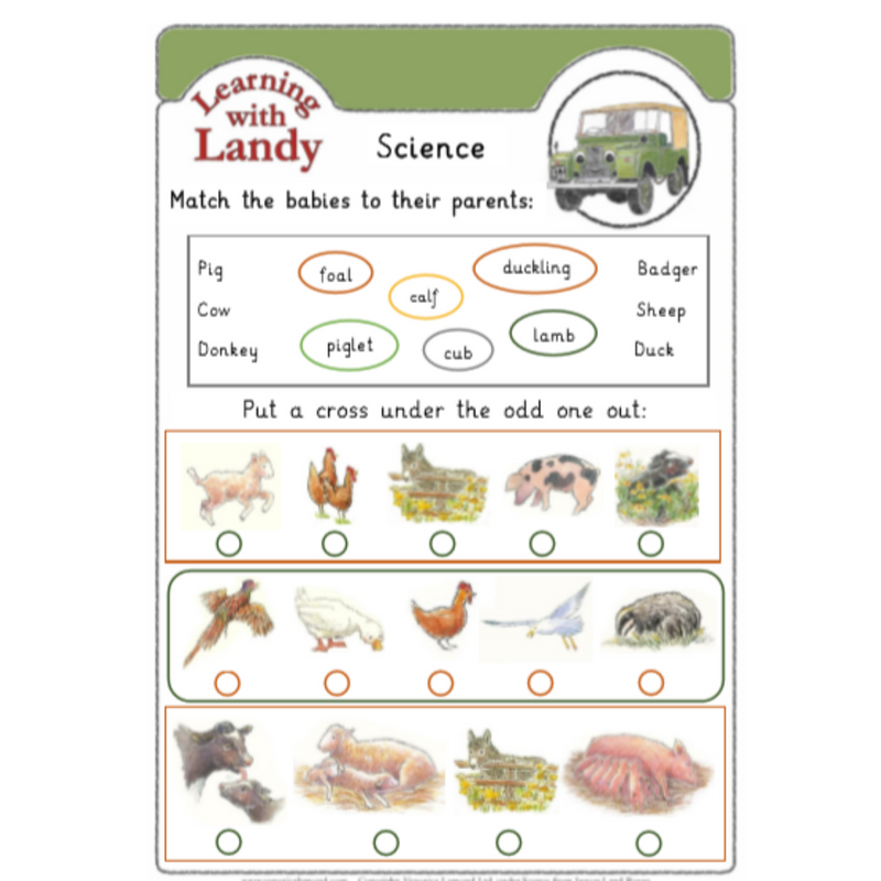 Landy Animal Science Workbook