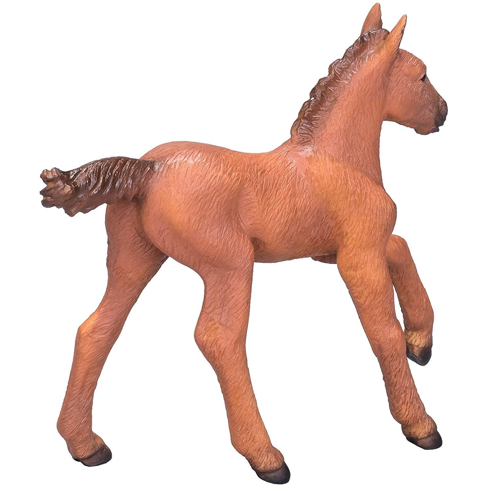 Mojo Arabian Foal, Chestnut