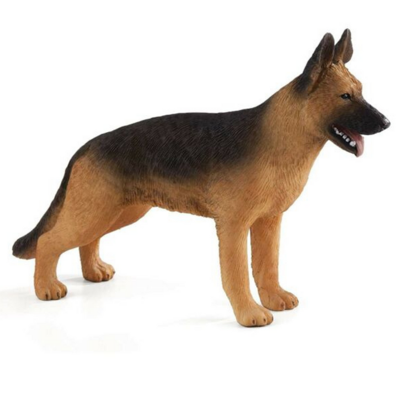 Mojo German Shepherd