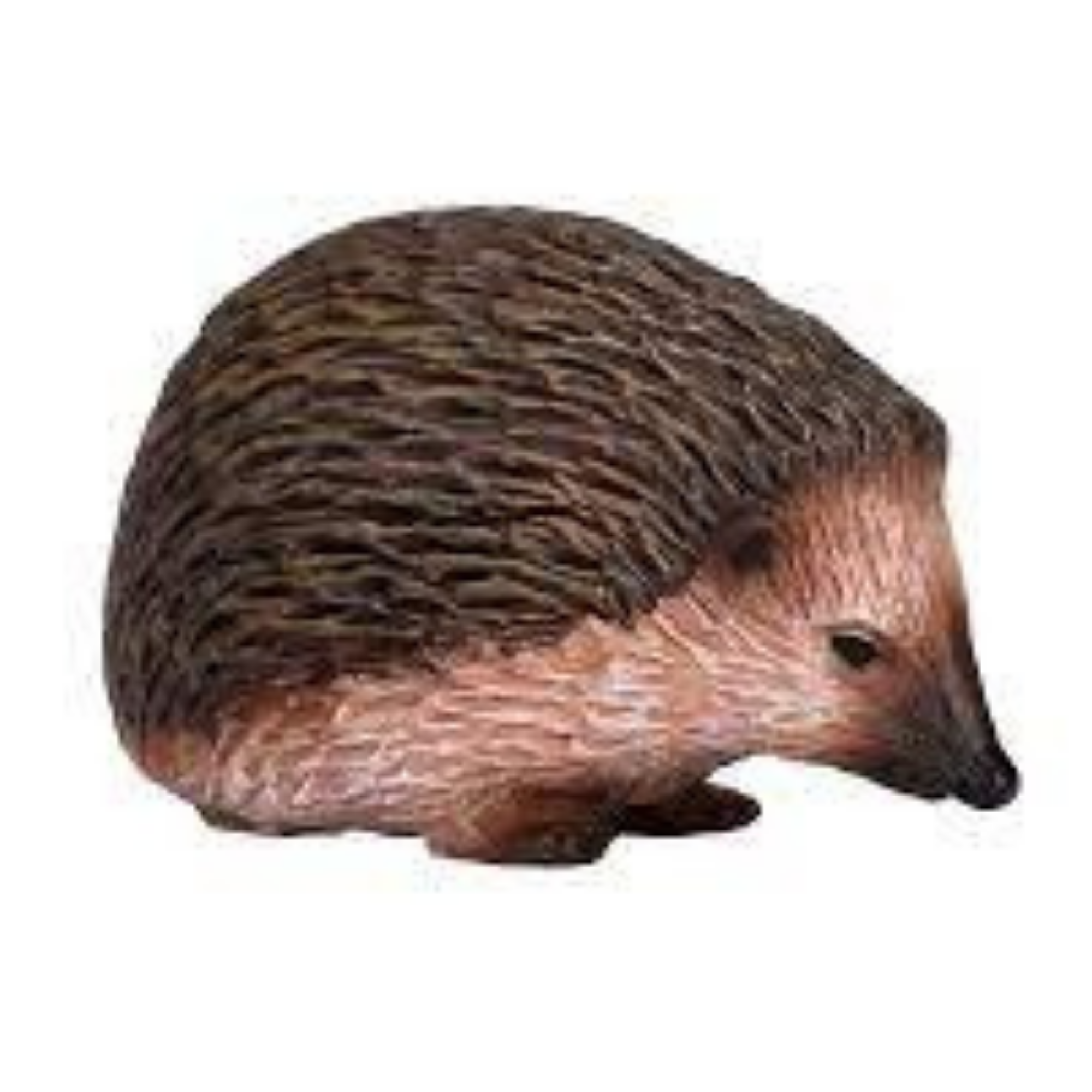 Mojo British Wildlife Starter Set