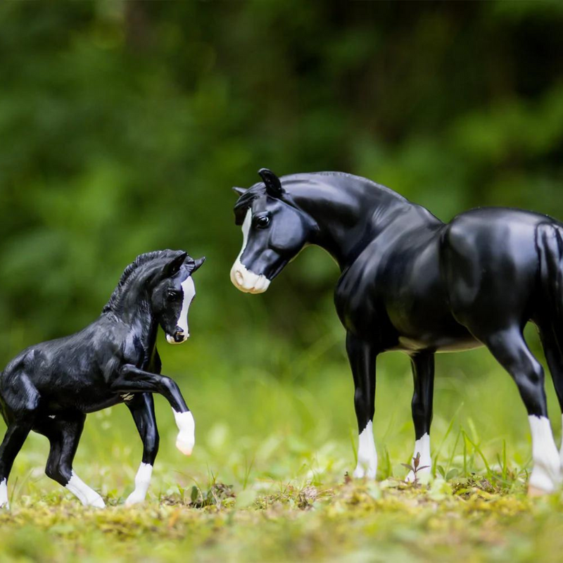 Breyer Traditional Nistar Blazing Kansas & GTF Blazing Ethel 1857