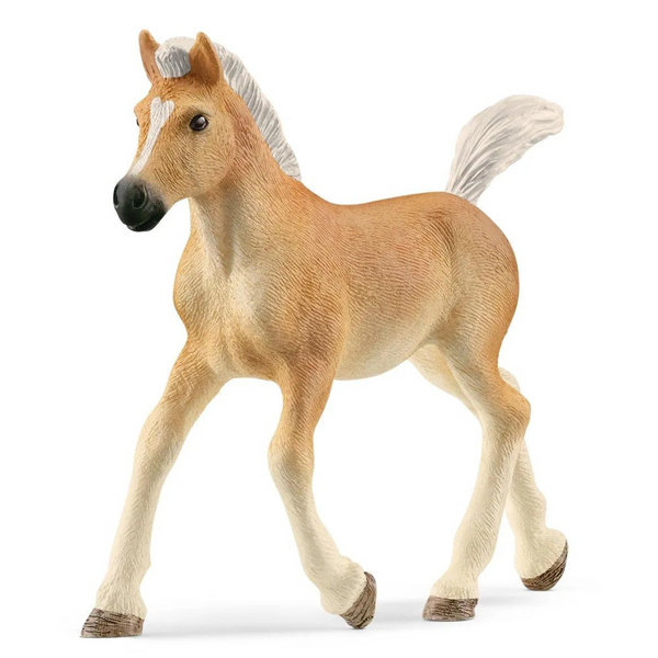  Schleich Haflinger Foal 13951