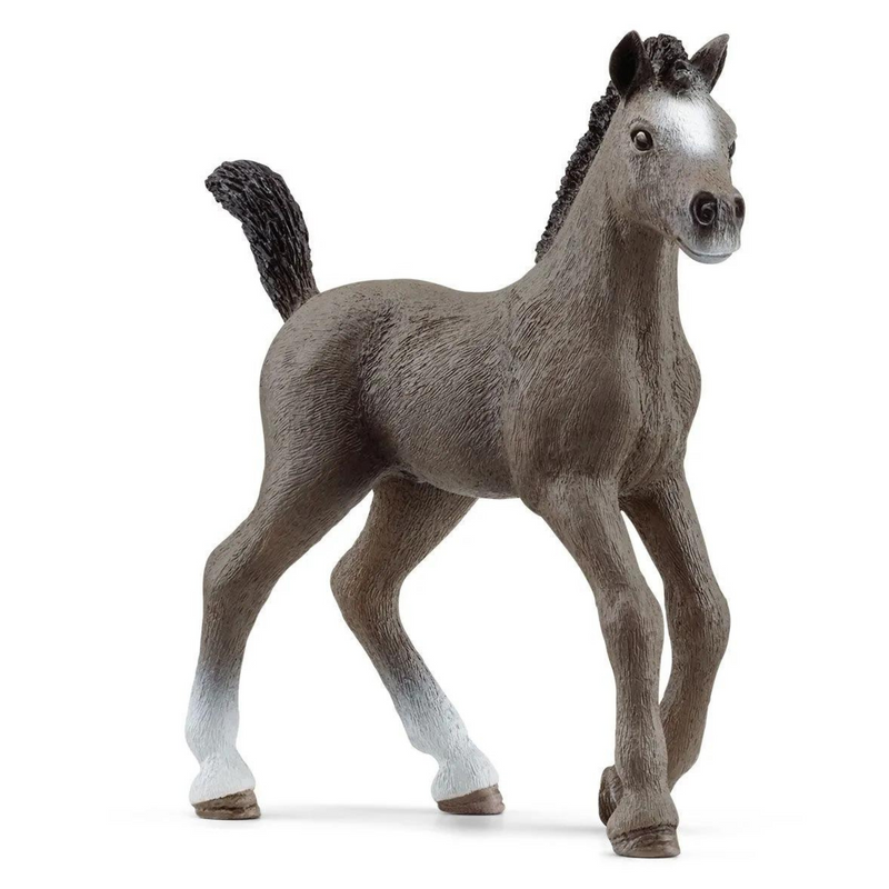 Schleich Selle Français Foal 13957