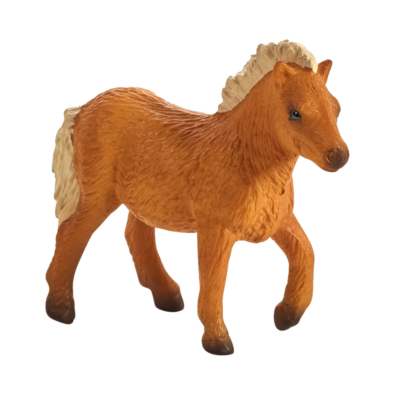 Schleich mini shetland hot sale