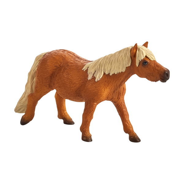 Shetland Pony Animal Planet 387231