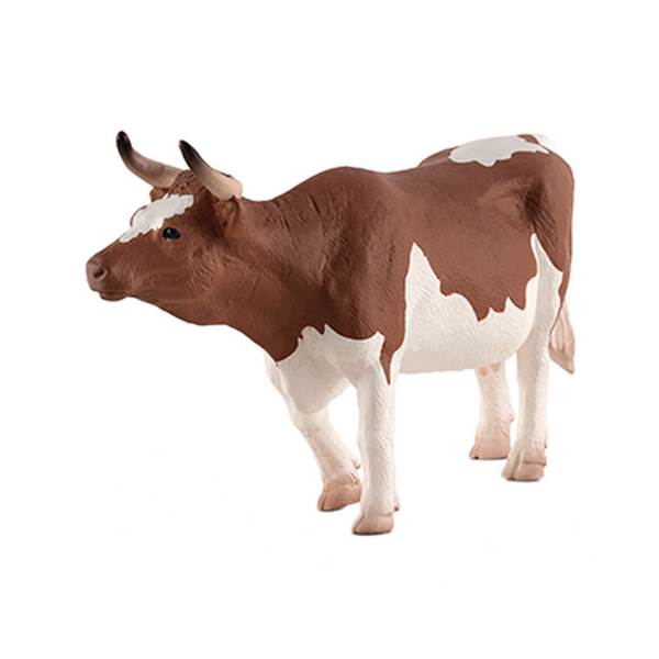 387220 animal planet mojo simmental cow