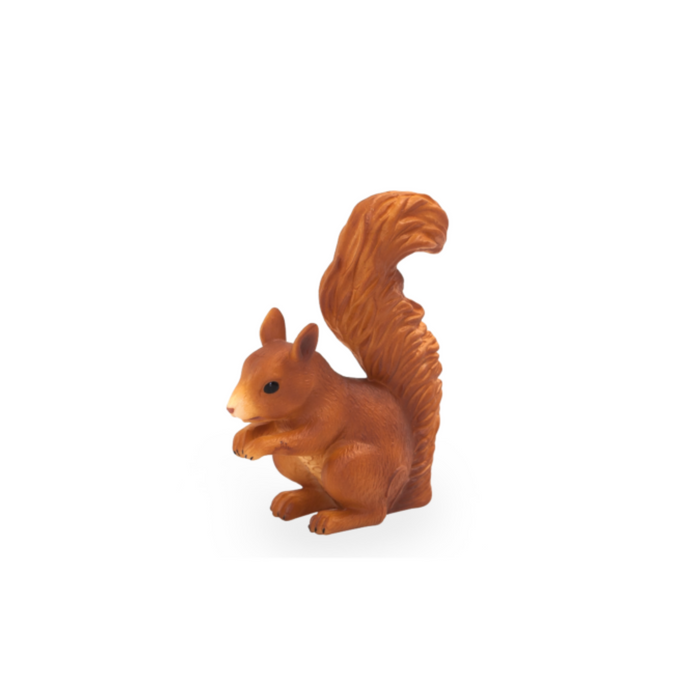 Squirrel Standing Animal Planet 387031