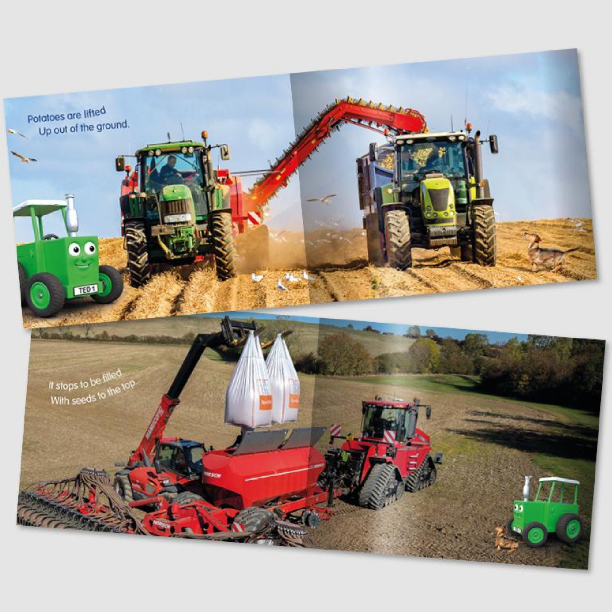 Tractor Ted An Autumn Day Book