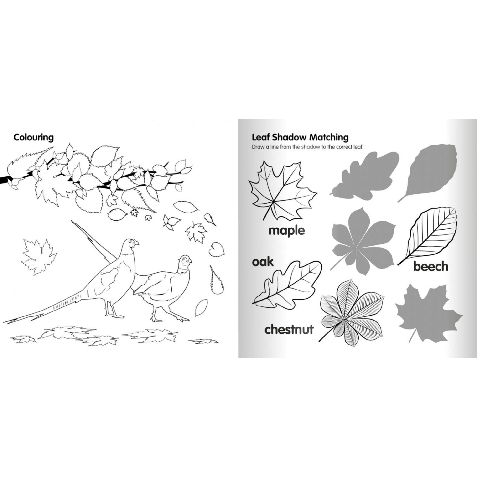 Tractor Ted Fun of the Farm Seasons Activity Book