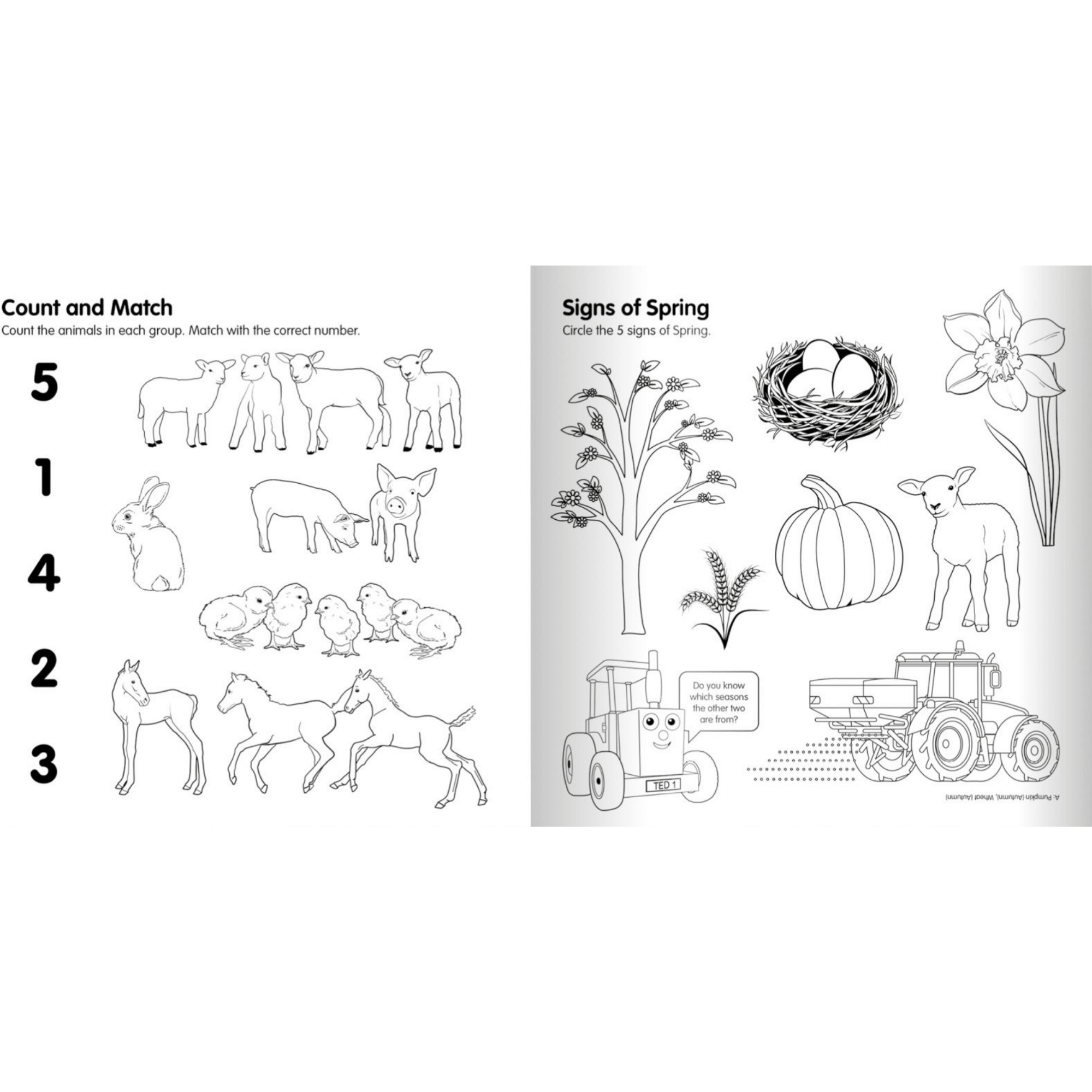 Tractor Ted Fun of the Farm Seasons Activity Book