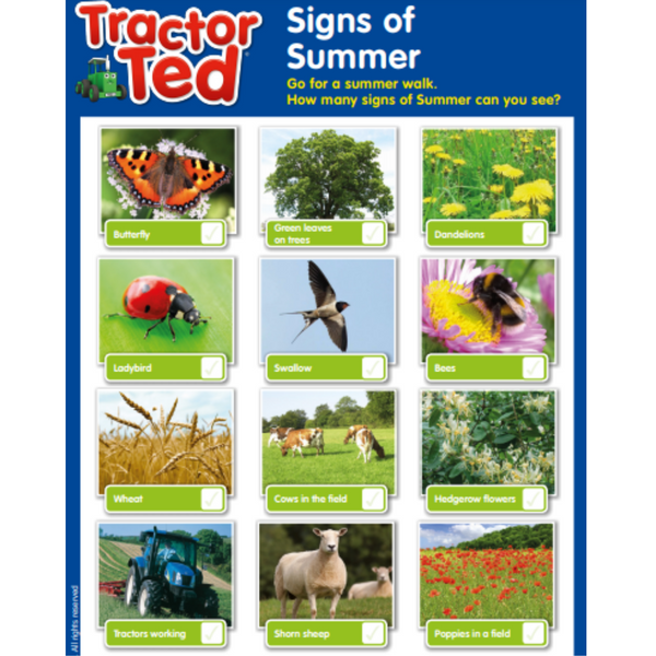 FREE Tractor Ted Signs of Summer activity sheet