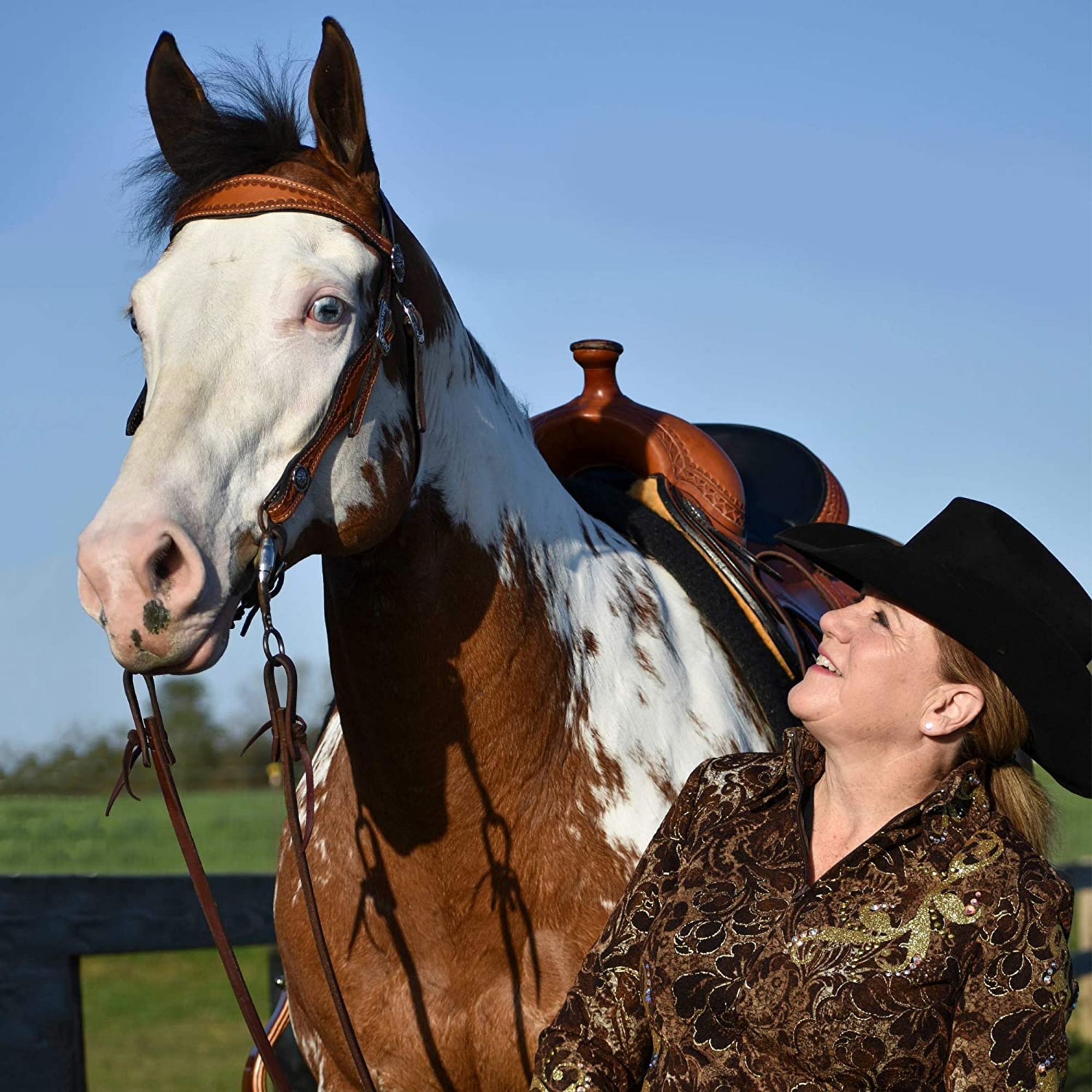 Breyer Traditional Truly Unsurpassed 1810