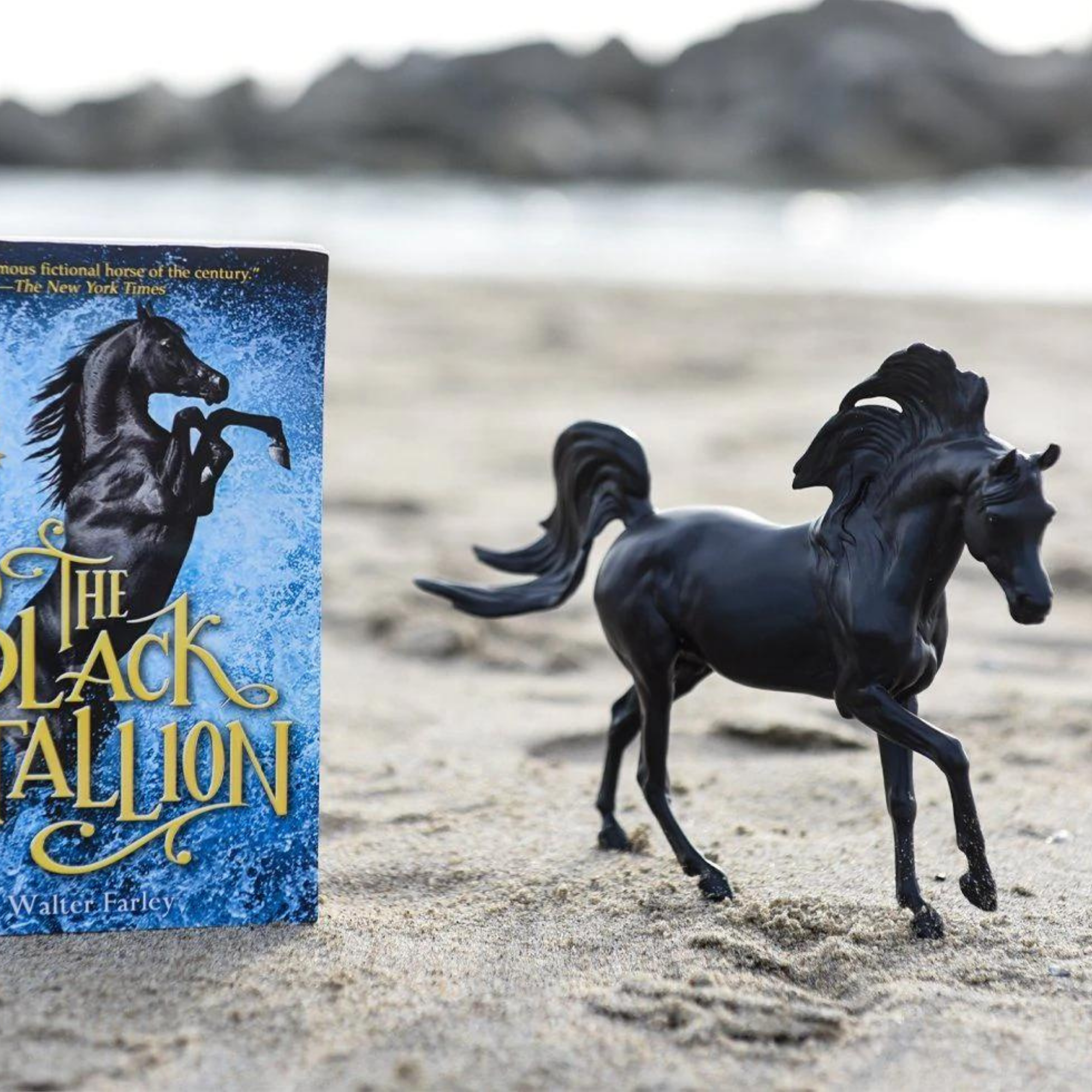 Breyer Classics The Black Stallion Horse & Book Set 6181