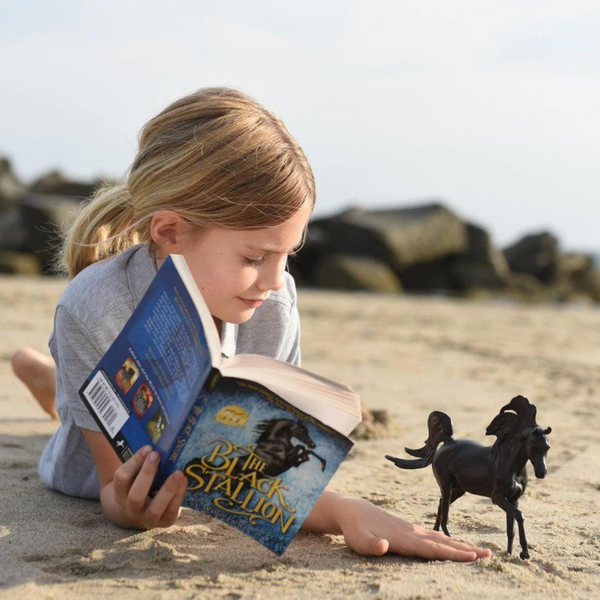 Breyer Classics The Black Stallion Horse & Book Set 6181