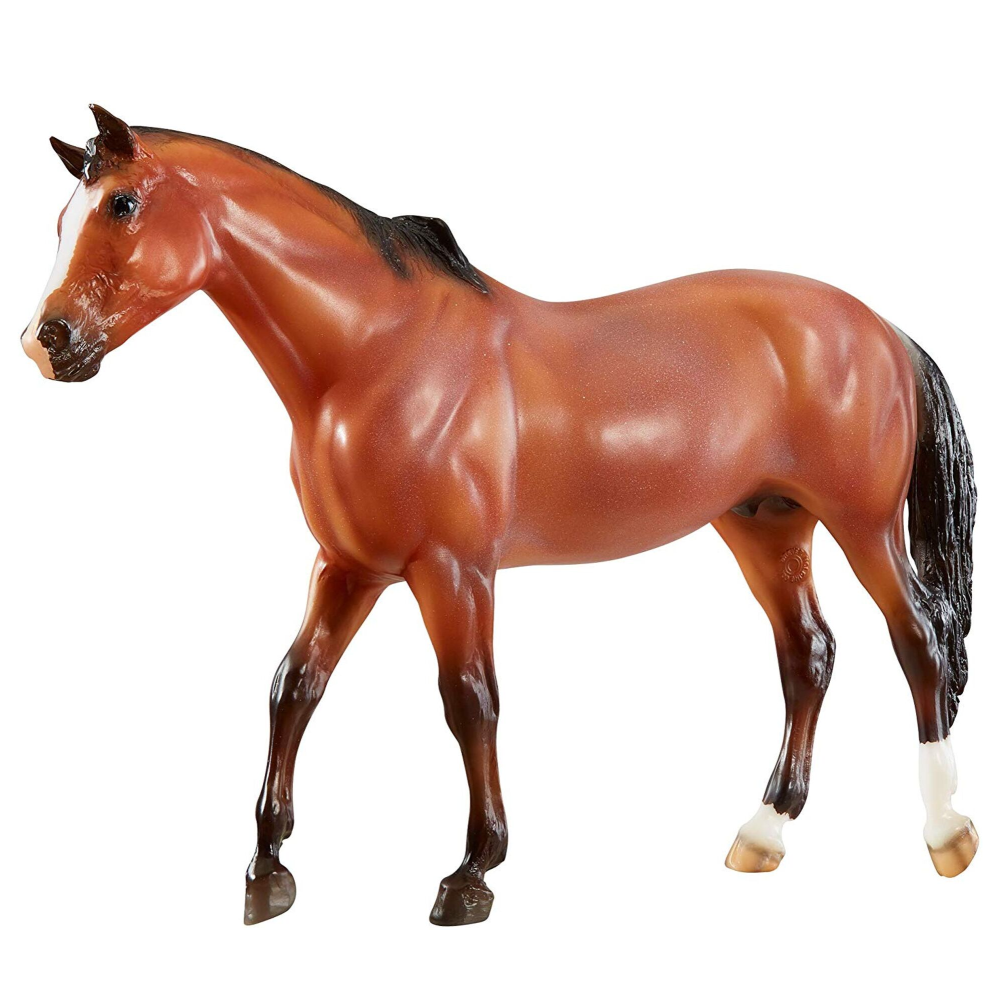 Vicki Wilson's Kentucky American Quarter Horse