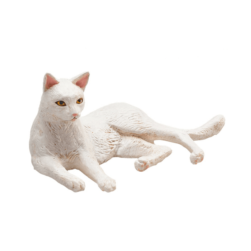 Cat Lying White Animal Planet 387368