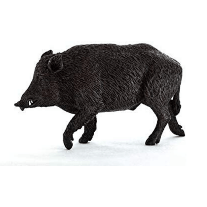 Wild Boar Animal Planet 387160