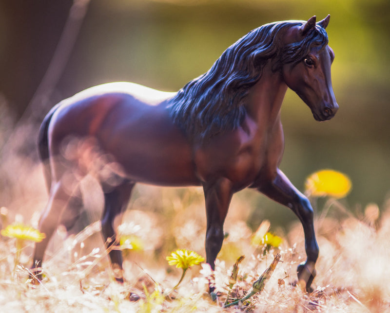 Vivaldi de Besilu Horse
